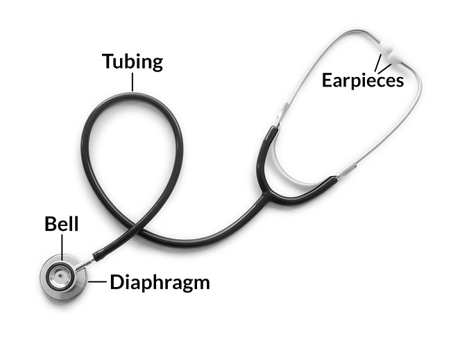  Nhận biết các bộ phận và chức năng của ống nghe-dsuckhoe 