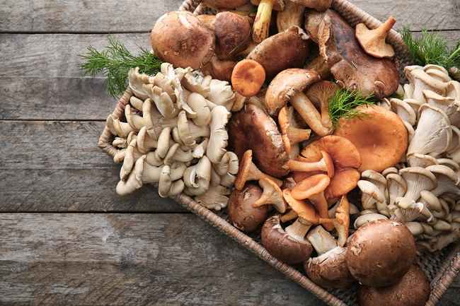  7 lợi ích nấm với hàm lượng dinh dưỡng trong nấm 