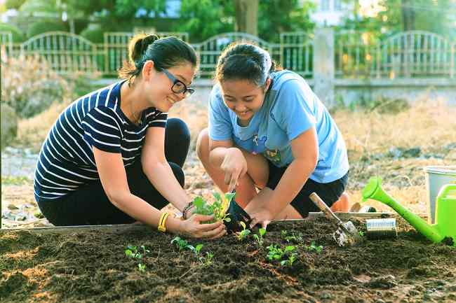  Lợi ích của việc làm vườn và trồng cây đối với sức khỏe-dsuckhoe 