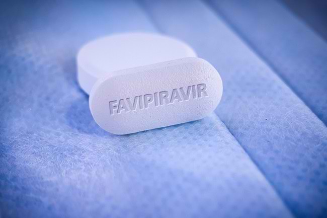  Biết nguy hiểm và tác dụng phụ của Favipiravir dành cho bà mẹ mang thai - dsuckhoe 